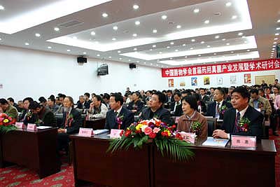威尼克斯人