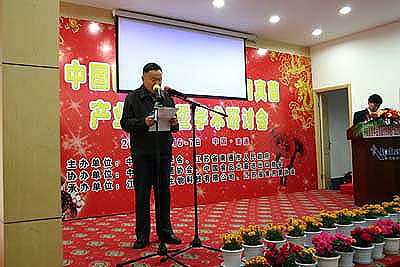 威尼克斯人