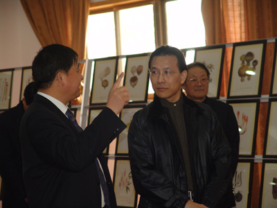 威尼克斯人 威尼克斯人
