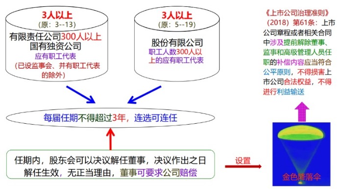 董事会的设置、权利与决议-海南威尼克斯人财务咨询